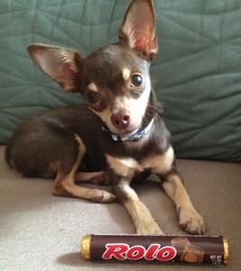 rolo2